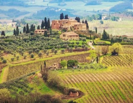 ancient-vineyards-of-italy